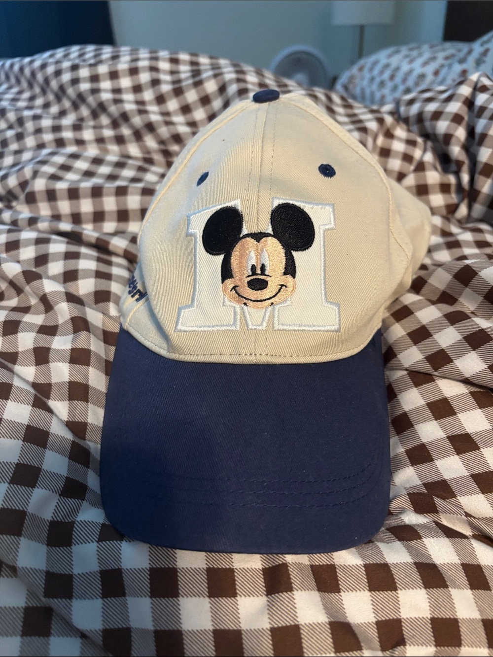 Disney Mickey Hat